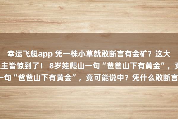 幸运飞艇app 凭一株小草就敢断言有金矿？这大连8岁小男孩，把大东谈主皆惊到了！ 8岁娃爬山一句“爸爸山下有黄金”，竟可能说中？凭什么敢断言？